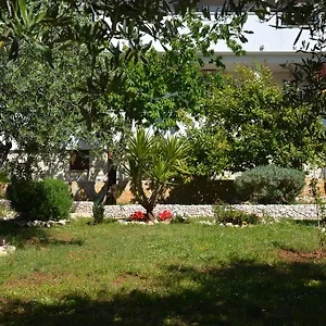 Maslina Apartman